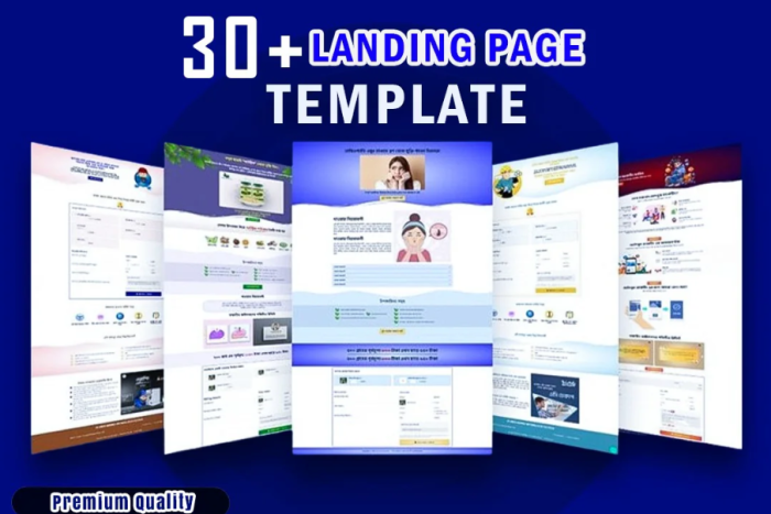 Elementor Pro landing page