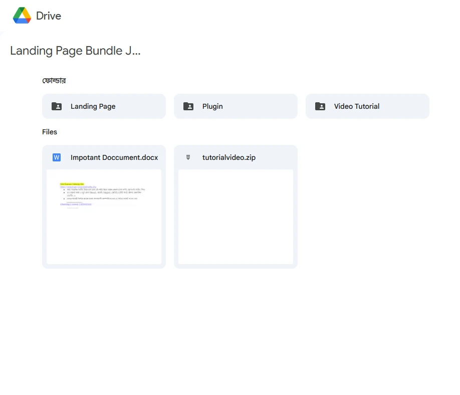 Google Drive Access ✅